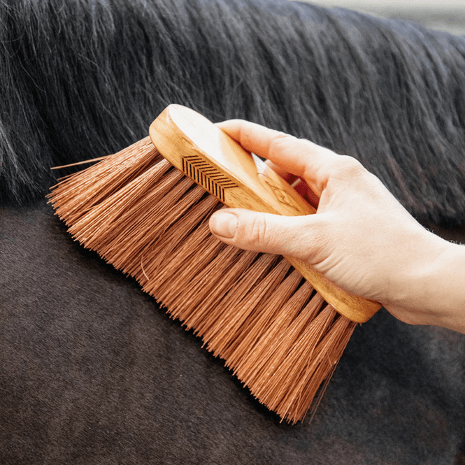 Hovedbilde Grooming Deluxe Middle Brush Medium