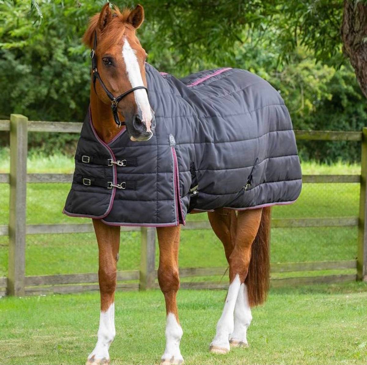 Premier Equine Garissa Stable Rug 100g Black Løvstad Hestesport