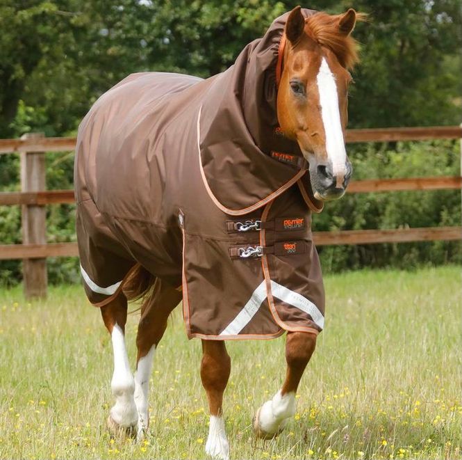 Hovedbilde Premier Equine Titan Turnout Rug 300g Brown