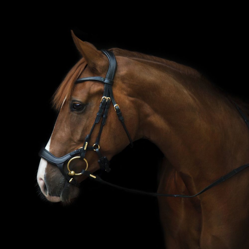 Utzon Bristol Bridle Black 