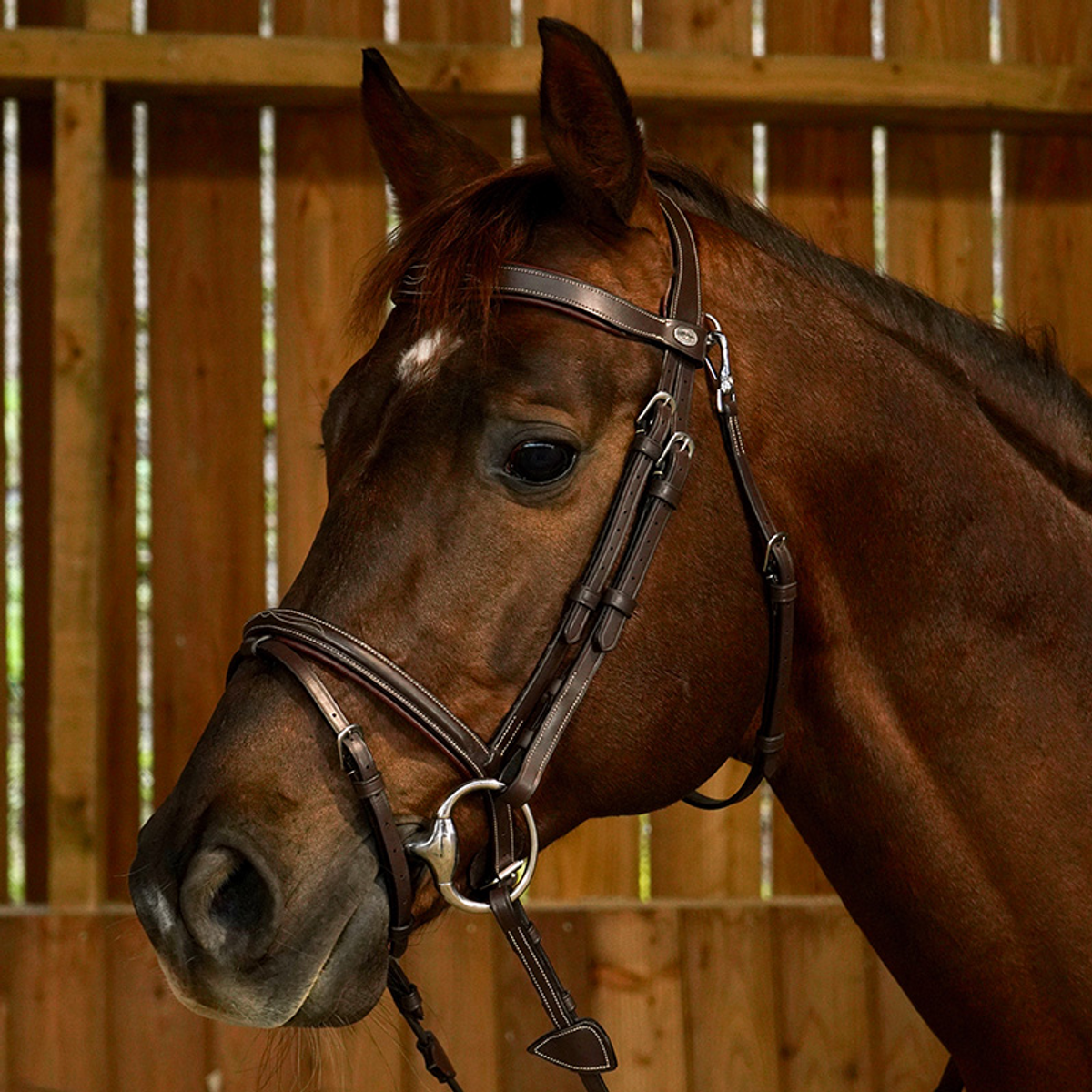 Dyon Working Collection Flash Noseband Bridle 
