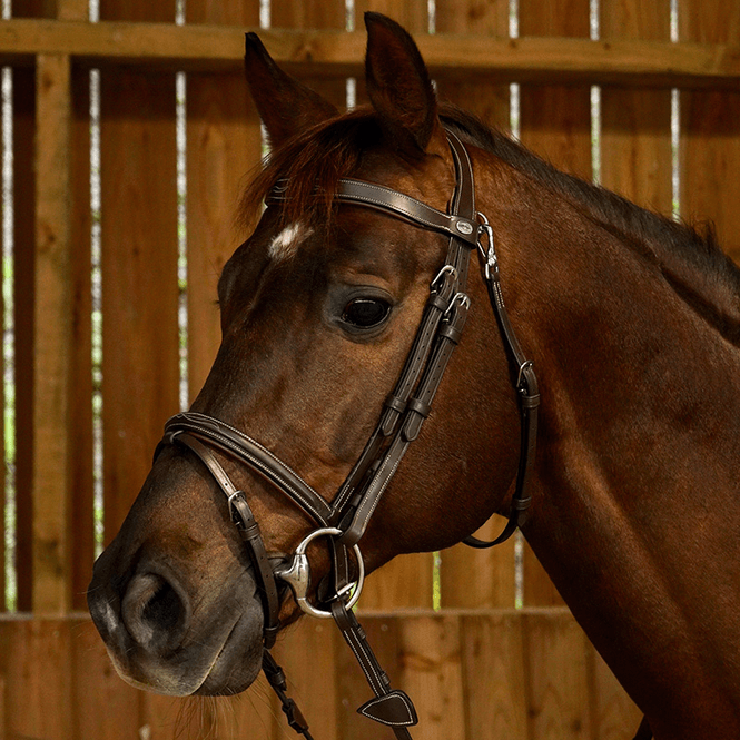 Hovedbilde Dyon Working Collection Flash Noseband Bridle 