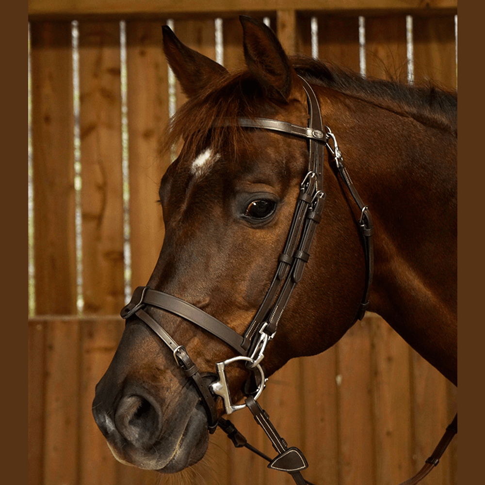 Dy’on Working Collection Flat Bridle 