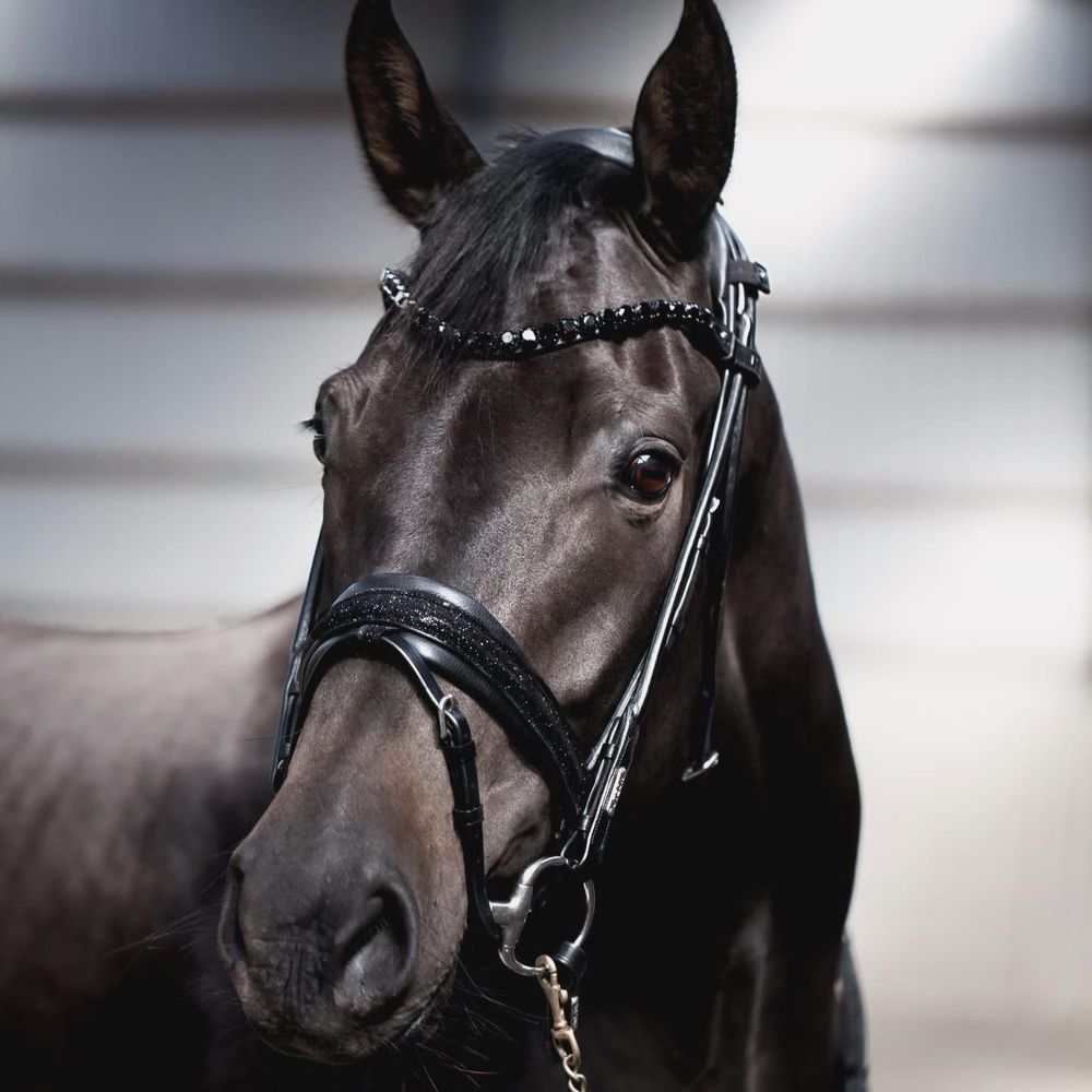 Utzon Edinburgh Glitter Bridle