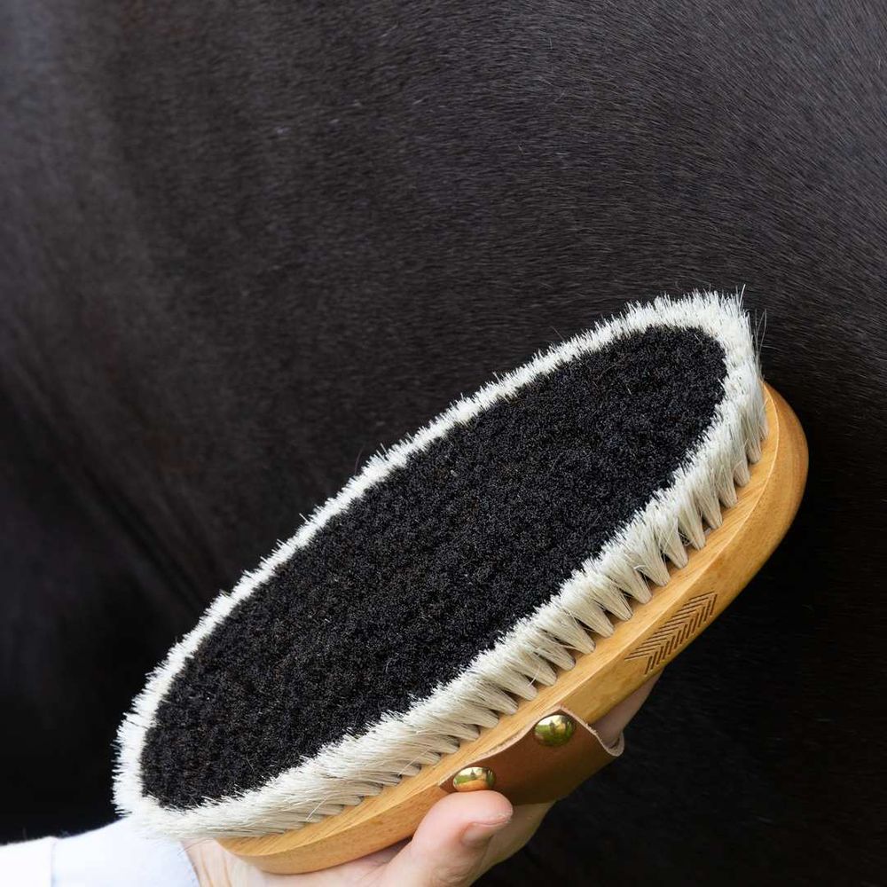 Grooming Deluxe Overall Brush Body Shine