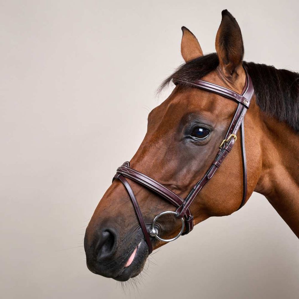 Dy’on D Collection Flash Noseband Bridle