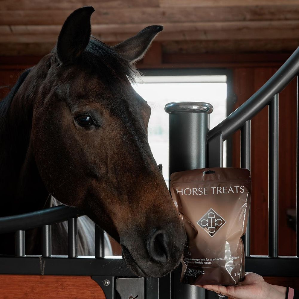 Grooming Deluxe Horse Treats Carrot 1kg