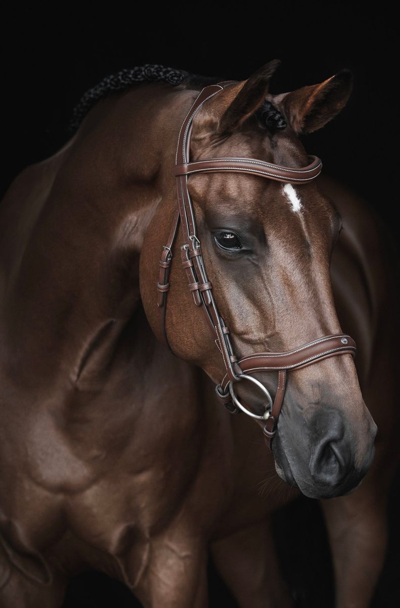 Lippo Eccelente Bridle Cognac