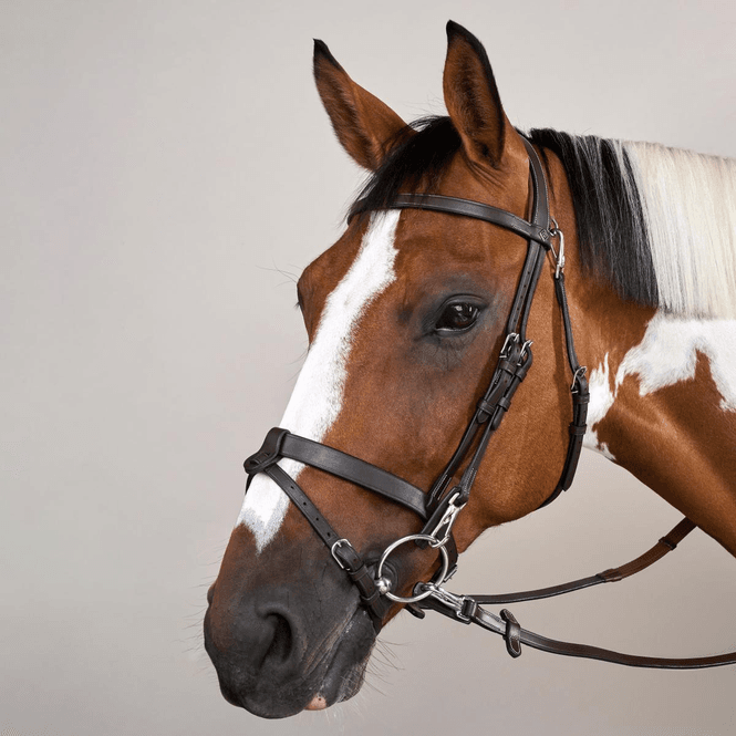Hovedbilde Dy’on Working Collection Flat Bridle w/Snap ...