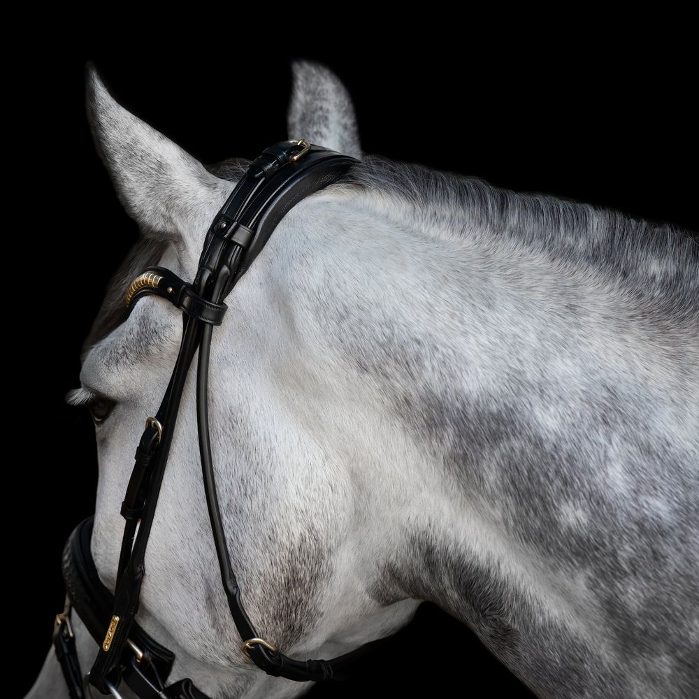 Utzon Olympic Bridle Flere Farger  