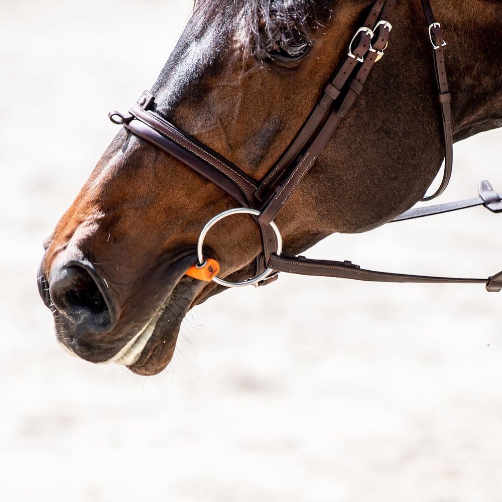 Winderen Large Loose Ring Snaffle 