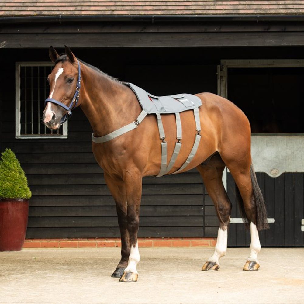 Equilibrium Massage Pad Standard